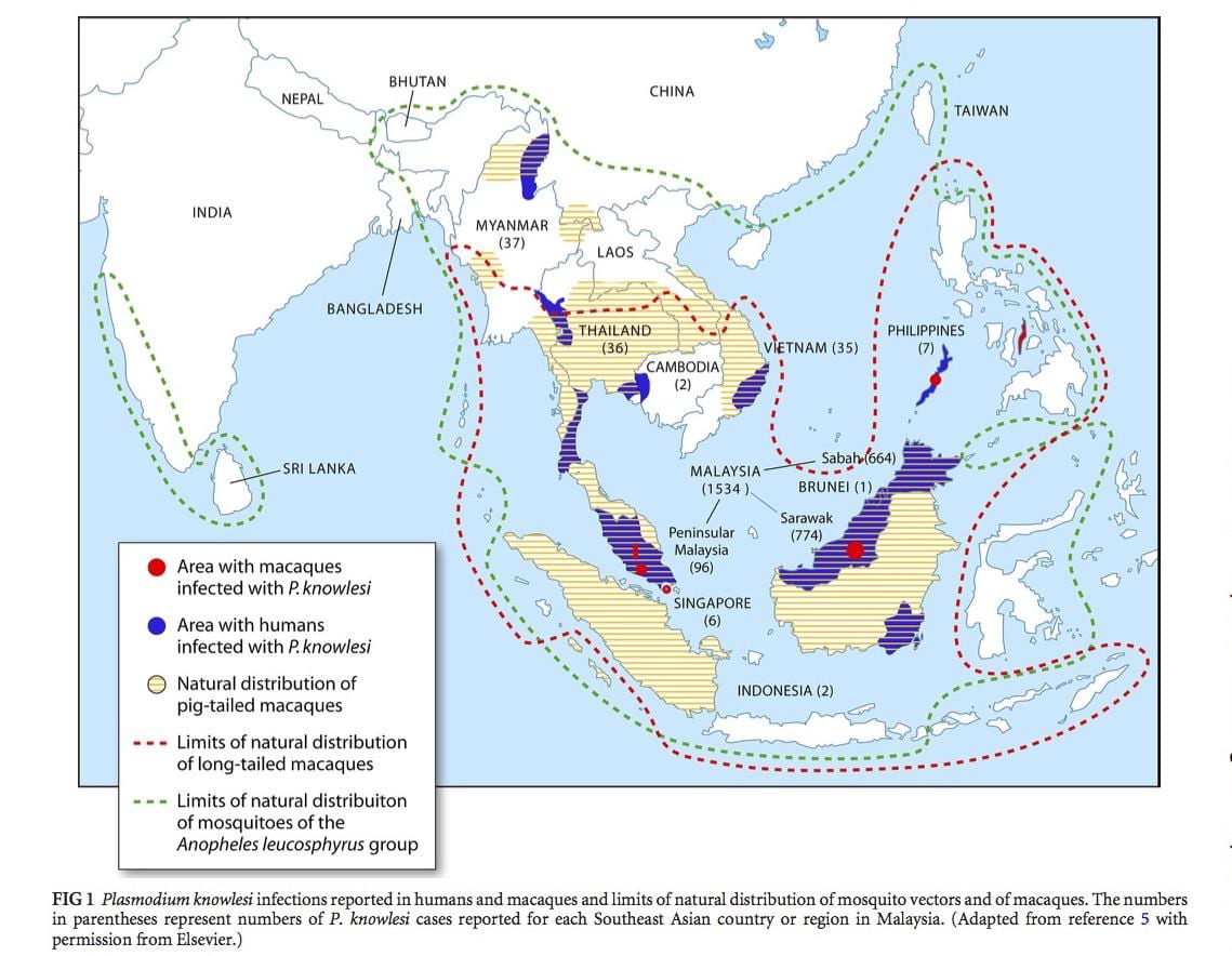 mapa ng malaysia malarya