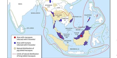 Mapa ng malaysia malarya